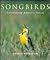 Songbirds: Celebrating Natu...