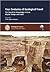 Four Centuries of Geological Travel: The Search for Knowledge on Foot, Bicycle, Sledge and Camel - Special Publication no 287 (Geological Society Special Publication)