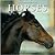 The Complete Book of Horses