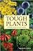 Tough Plants by Sharon Amos
