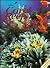 Coral Reefs (Close Up)