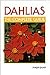 Dahlias: The Complete Guide