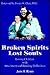 Broken Spirits Lost Souls: Loving Children With Attachment and Bonding Difficulties