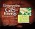 Enterprise GIS for Energy Companies