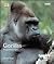 BBC/Discovery: Gorillas