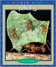 Ants (True Books)