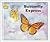 Butterfly Express
