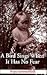 A Bird Sings When It Has No Fear by Hope Summerfield