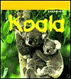 Koala (Animals in Danger)