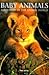 Baby Animals: A Portrait of the Animal World