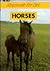 Horses (Responsible Pet Care)
