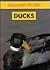 Ducks (Responsible Pet Care)