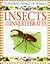 Insects and Other Invertebrates (W'Ful World of Animals)