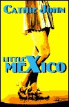 Little Mexico (Paperback)