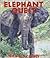 Elephant Quest