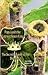 Papa and the Leprechaun King The Secret Legend of the Shamrock by Arthur Cola