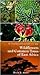 A Traveller's Guide to the Wildflowers and Common Trees of Ea... by David J. Allen