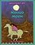 Mystery of Navajo Moon