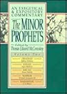 The Minor Prophets: An Exegetical and Expository Commentary : Obadiah, Jonah, Micah, Nahum, and Habakkuk (Minor Prophets: An Exegetical and Expository Commentary, Vol. 2)