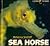 Sea Horse (Living Things)