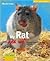 My Rat and Me (For the Love of Animals Series)