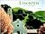 Lamorinda by Lafayette