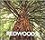 Redwoods (Naturebooks)