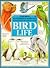 Mysteries and Marvels of Bird Life