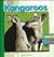 Kangaroos (Animals Are Fun)