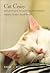 Cat Crazy (Reflections on Our Feline Friends)
