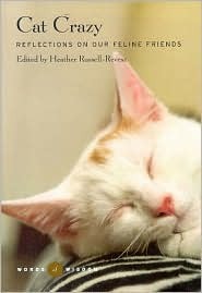Cat Crazy (Reflections on Our Feline Friends)