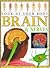 Brain and Nerves (Look At Your Body)