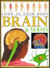 Brain and Nerves (Look At Your Body)