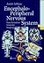 Encephalo-Peripheral Nervous System: Vascularisation Anatomy Imaging