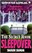 The Secret Room Sleepover (Sleepover, #1)