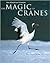 The Magic of Cranes
