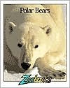 Polar Bears (Zoobooks Series)