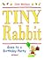Tiny Rabbit Goes to a Birthday Party