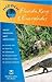 Hidden Florida Keys and Everglades 7 Ed by Ann Boese