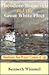 Theodore Roosevelt and the Great White Fleet: American Sea Power Comes of Age