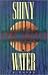 Shiny Water (Michael Stone, #1)