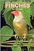 Finches