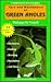 The General Care and Maintenance of Green Anoles (General Care and Maintenance of Series)