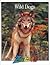 Wild Dogs (Zoobooks)