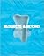Blobjects and Beyond: The N...