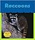 Raccoons (Heinemann Read & Learn)