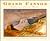 Grand Canyon by Wendell Minor