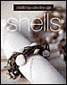 Shells (Crafting on the Go) Shells (Crafting on the Go)