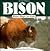 Bison Magic for Kids by Todd Wilkinson