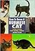 Guide to Owning a Burmese Cat
